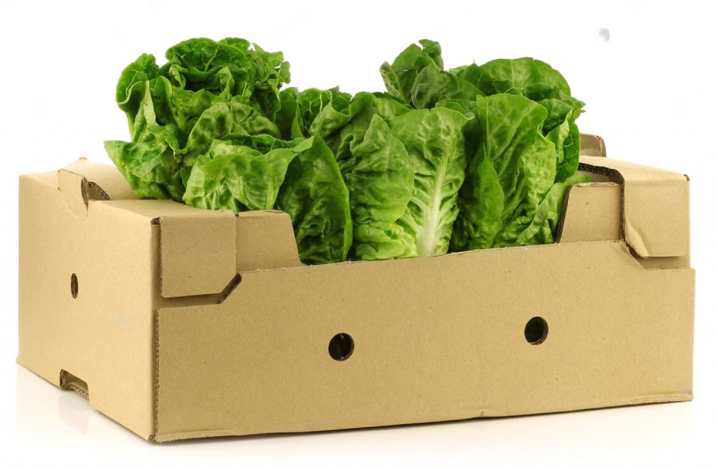 caja de cartón corrugado para verdura