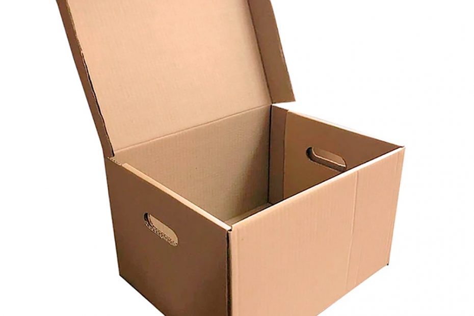 Caja Storbox