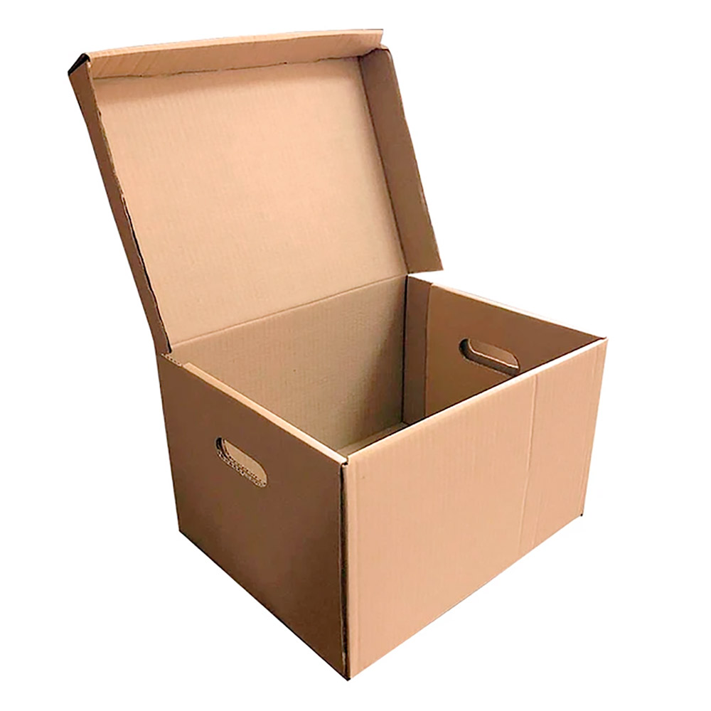 Caja Storbox