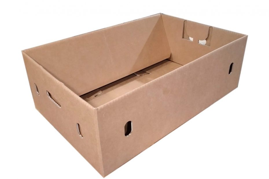 Cajas para frutas